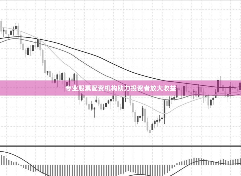专业股票配资机构助力投资者放大收益